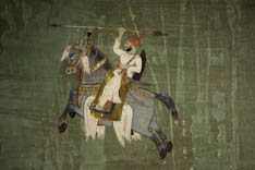 Inde - cheval Marwari - 48